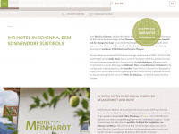 meinhardt.it Webseite Vorschau