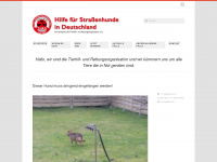 Strassenhundehilfe.de