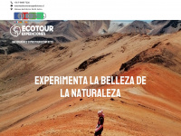 ecotourexpediciones.cl Webseite Vorschau