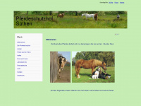 pferdeschutzhof-süthen.de Webseite Vorschau