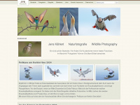 jfk-wildlife.de Webseite Vorschau