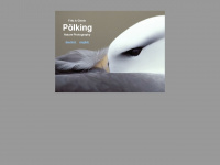 poelking.de Webseite Vorschau