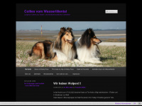 collies.eu Webseite Vorschau