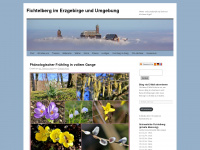 fichtelbergwetter.wordpress.com Webseite Vorschau
