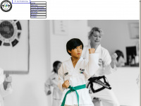 taekwondo-institut.de Webseite Vorschau