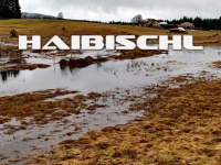 haibischl.de Thumbnail