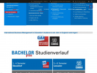 daa-bachelor.de Webseite Vorschau