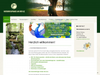 naturheilpraxis-ilz.de Webseite Vorschau
