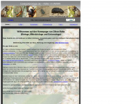 coleopterologe.de Webseite Vorschau