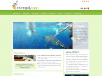 ebreoci.com Webseite Vorschau