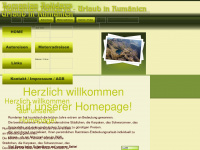 romanian-holidays.at Webseite Vorschau