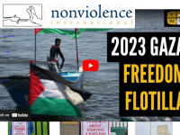 nonviolenceinternational.net Thumbnail