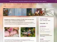 tolle-babyfotos.de Webseite Vorschau
