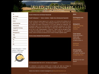 wanzenried.com Webseite Vorschau