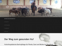 huf-orthopädie.de Webseite Vorschau
