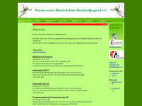 foerderverein-niederbuehler-handballjugend.de Webseite Vorschau