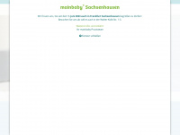 mainbaby-ffm.com Webseite Vorschau