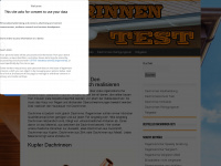 dachrinnen-test.de Webseite Vorschau