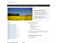 hifidi.ch Webseite Vorschau