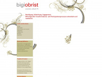 bigi-obrist.ch Webseite Vorschau