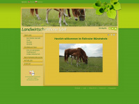 pferde-reitrevier-muenchehofe.de Webseite Vorschau