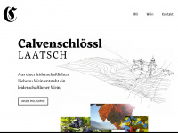 calvenschloessl.eu Webseite Vorschau