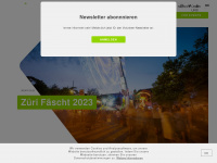 swissvolunteers.ch Webseite Vorschau