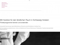 emm-sh.com Webseite Vorschau
