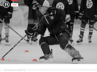 besahockey.com Webseite Vorschau