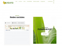 augura.com.co Webseite Vorschau