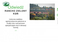 zielonykon.pl Webseite Vorschau