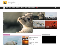 kaspika.org Webseite Vorschau