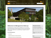 bzwlyss.ch Webseite Vorschau