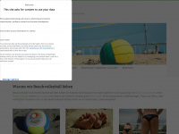 beachvolleyball-info.de Webseite Vorschau
