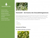 kuemmeloel.info Webseite Vorschau
