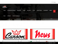 carson.it Webseite Vorschau