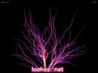 loohss.net Webseite Vorschau