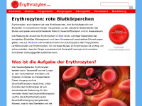 erythrozyten.net Webseite Vorschau