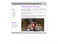 familiesturzenegger.ch Webseite Vorschau