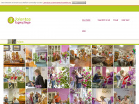 jolantas-tagespflege.de Webseite Vorschau