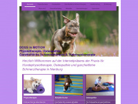 dogs-in-motion-physio.de Webseite Vorschau