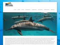 dolphins-liveaboard.ch Webseite Vorschau