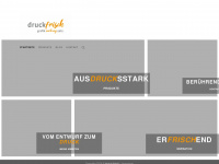 druck-frisch.ch Webseite Vorschau
