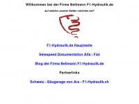 f1-hydraulik.de Webseite Vorschau