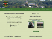 bsv2013.de Webseite Vorschau