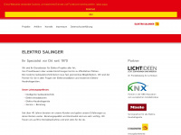 elektro-service-salinger.de Webseite Vorschau
