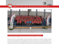 handball-neusaess.de Webseite Vorschau