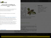 balanus.eu Webseite Vorschau