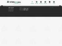 steinecoplus.ch Webseite Vorschau