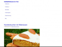 heissluft-friteuse-test.com Webseite Vorschau